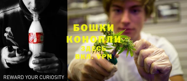 прущие грибы Россошь