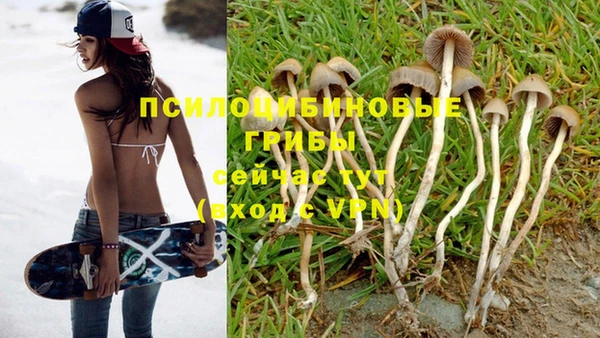 дмт Ростов