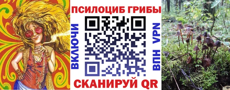 Галлюциногенные грибы Cubensis  где найти наркотики  Инза 