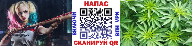 закладка  площадка официальный сайт  Каннабис SATIVA & INDICA  Инза 
